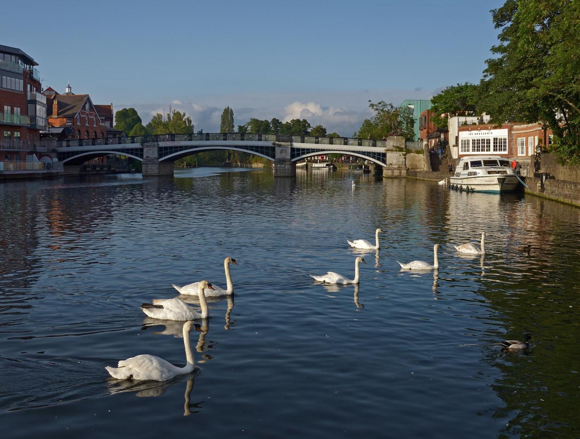 Top Floor En-Suite Double Bedrooms With Great View Of Windsor Castle & Free Parking Dış mekan fotoğraf